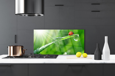 Painel cozinha Joaninha Natureza Grama