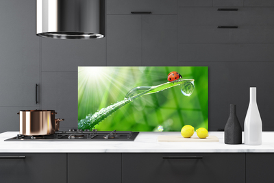 Painel cozinha Joaninha Natureza Grama