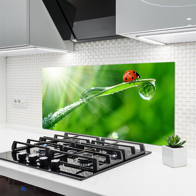 Painel cozinha Joaninha Natureza Grama