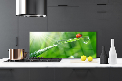 Painel cozinha Joaninha Natureza Grama