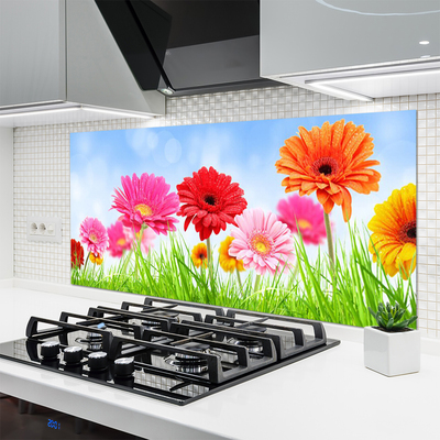 Painel vidro cozinha Flores, grama, planta