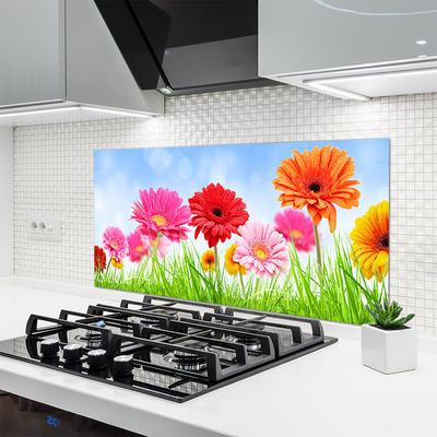Painel vidro cozinha Flores, grama, planta