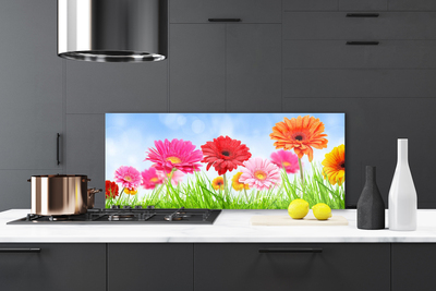 Painel vidro cozinha Flores, grama, planta