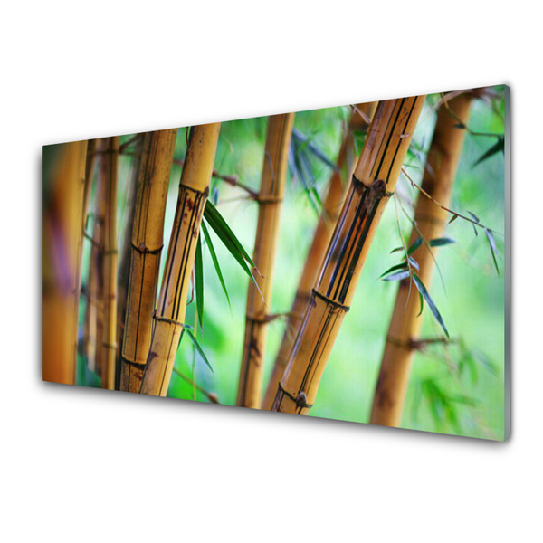 Painel vidro cozinha Planta Natural de Bambu