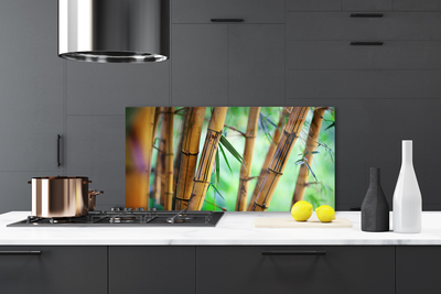 Painel vidro cozinha Planta Natural de Bambu