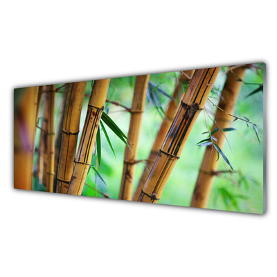 Painel vidro cozinha Planta Natural de Bambu