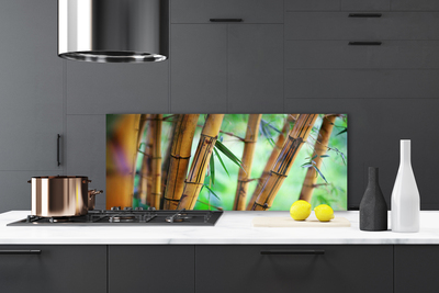 Painel vidro cozinha Planta Natural de Bambu
