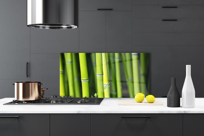 Painel vidro cozinha Planta Natural de Bambu