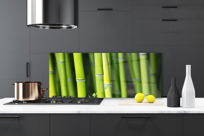 Painel vidro cozinha Planta Natural de Bambu