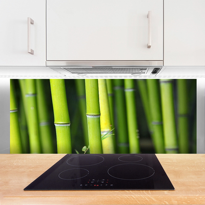 Painel vidro cozinha Planta Natural de Bambu