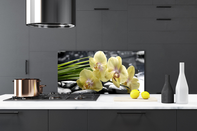 Painel cozinha Flores Planta Natureza