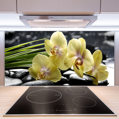 Painel cozinha Flores Planta Natureza