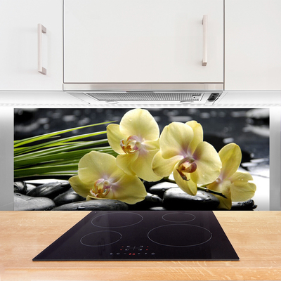 Painel cozinha Flores Planta Natureza