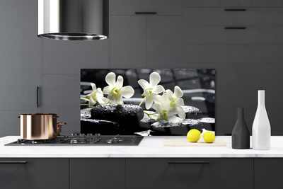 Painel vidro cozinha Planta de Pedras de Orquídea