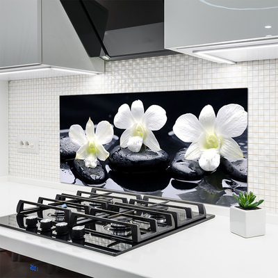 Painel vidro cozinha Planta de Pedras de Orquídea