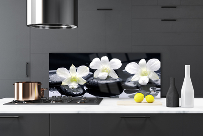 Painel vidro cozinha Planta de Pedras de Orquídea