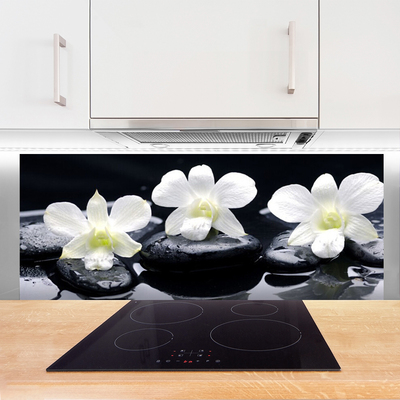 Painel vidro cozinha Planta de Pedras de Orquídea