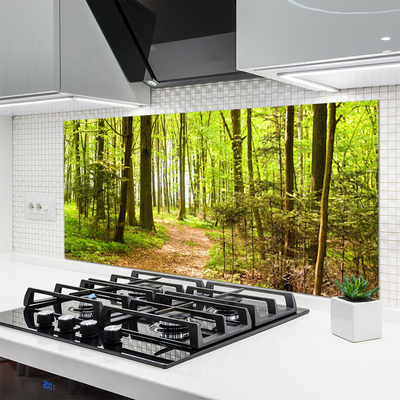 Painel vidro cozinha Trilha da Natureza da Floresta