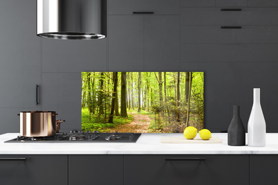 Painel vidro cozinha Trilha da Natureza da Floresta