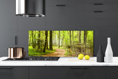 Painel vidro cozinha Trilha da Natureza da Floresta