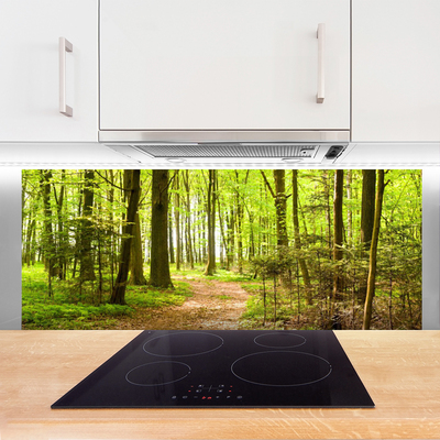 Painel vidro cozinha Trilha da Natureza da Floresta