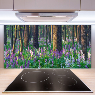 Painel vidro cozinha Árvores da Floresta Natureza