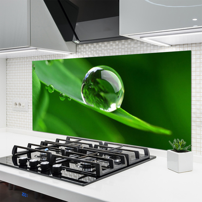 Painel cozinha Folhas de plantas com gotas de água