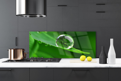Painel cozinha Folhas de plantas com gotas de água