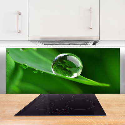 Painel cozinha Folhas de plantas com gotas de água