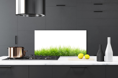 Painel cozinha Grama Natureza Planta