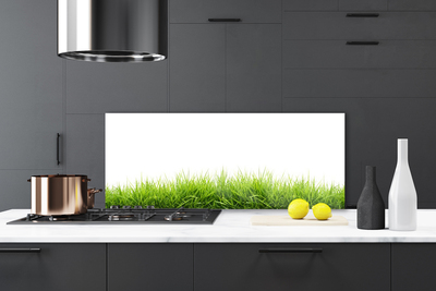 Painel cozinha Grama Natureza Planta