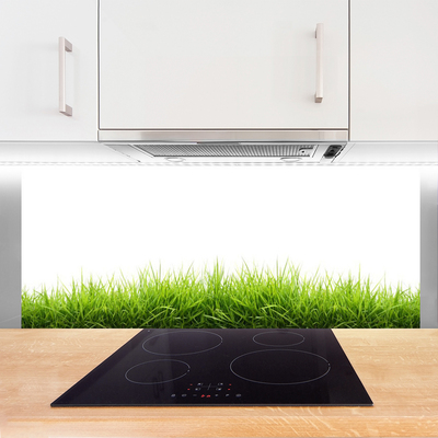 Painel cozinha Grama Natureza Planta