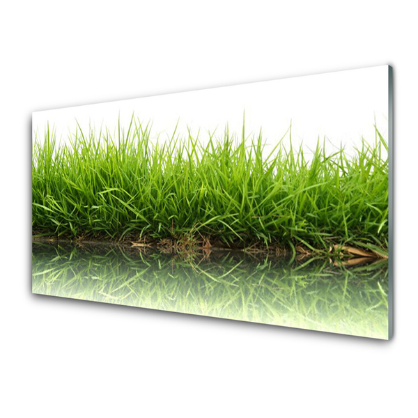Painel vidro cozinha Grama Água Natureza Planta