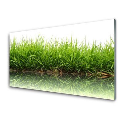 Painel vidro cozinha Grama Água Natureza Planta