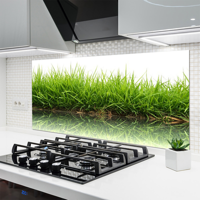 Painel vidro cozinha Grama Água Natureza Planta