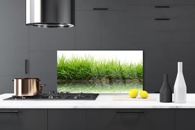 Painel vidro cozinha Grama Água Natureza Planta