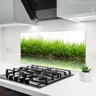 Painel vidro cozinha Grama Água Natureza Planta