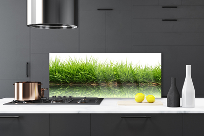 Painel vidro cozinha Grama Água Natureza Planta