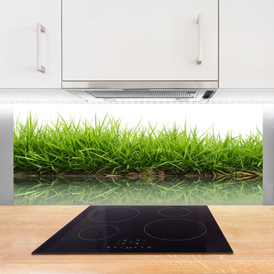 Painel vidro cozinha Grama Água Natureza Planta