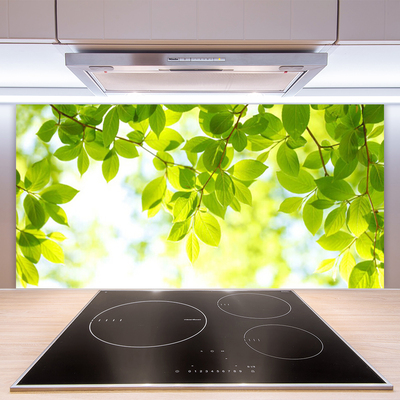 Painel cozinha Folhas Natureza Planta