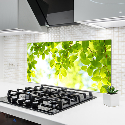 Painel cozinha Folhas Natureza Planta