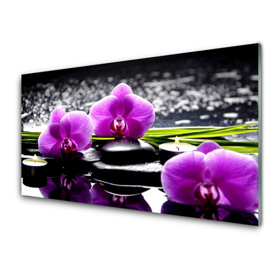 Painel cozinha Planta de orquídea flor