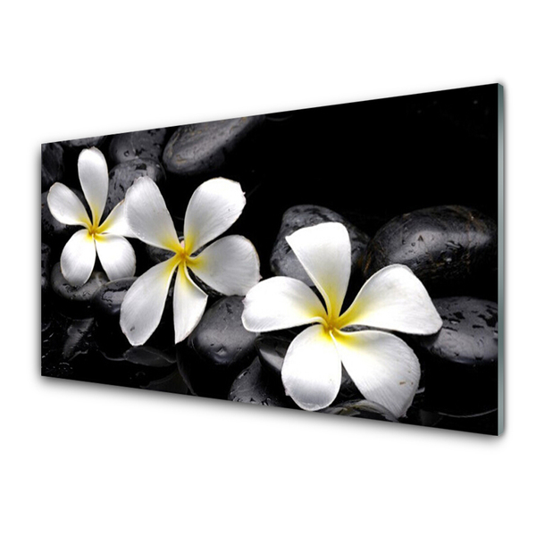 Painel vidro cozinha Planta de flor de plumeria