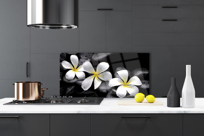 Painel vidro cozinha Planta de flor de plumeria