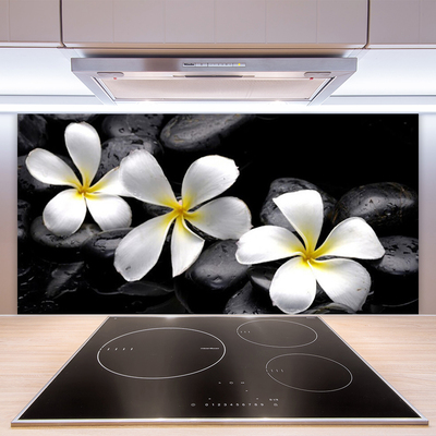 Painel vidro cozinha Planta de flor de plumeria