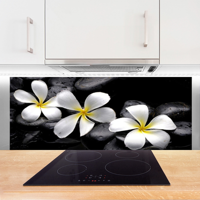 Painel vidro cozinha Planta de flor de plumeria