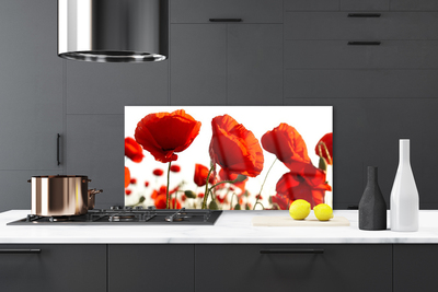 Painel cozinha Papoulas Plantam Natureza