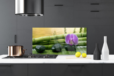 Painel vidro cozinha Pedras de flores Bambu Natureza
