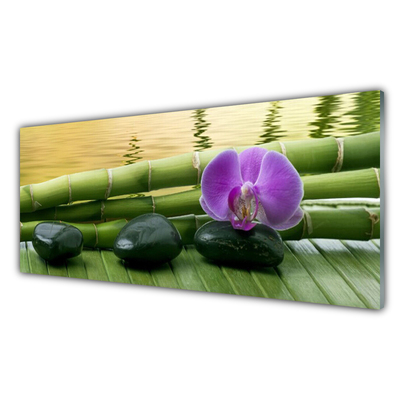 Painel vidro cozinha Pedras de flores Bambu Natureza