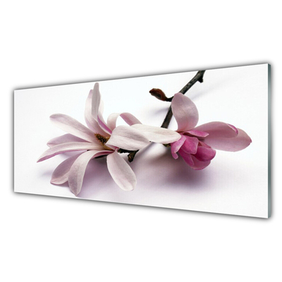 Painel vidro cozinha Flores Planta Natureza